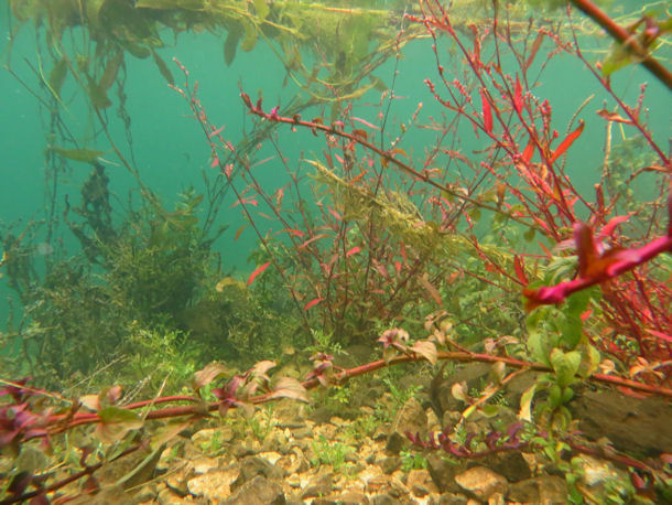 Der Trebinjsko-Stausee