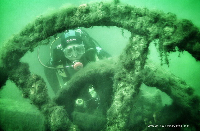 Tonsee Klein K�ris