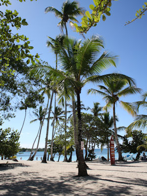 Bayahibe