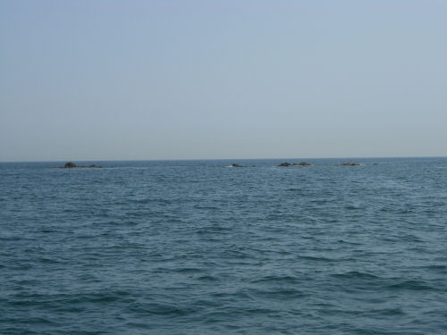 Sharm Rocks in Fujairah