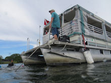 Swimming with Manatees