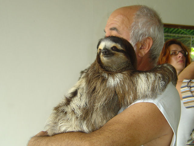 Sloth Sanctuary of Costa Rica