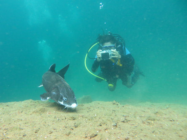 St�r in L�bej�n