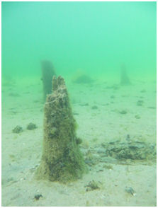 Pfahlbau im Werbellinsee