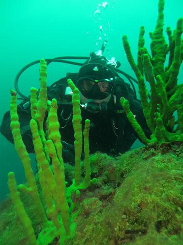 Schw�mme Baikalsee