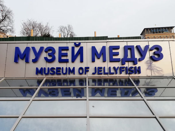 Museum of Jellyfish Kiew Ukraine