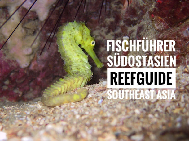 Fischf�hrer Malaysia