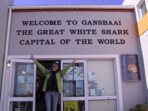 Wei�haitauchen in S�dafrika